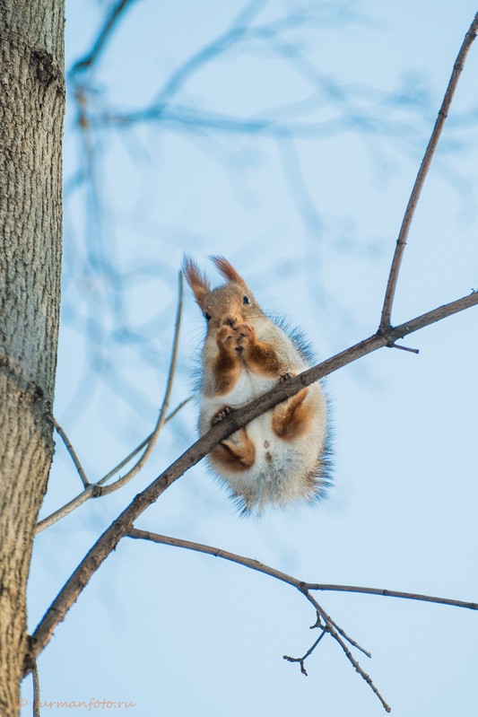 Фото сделанное пользователем Furmanfoto