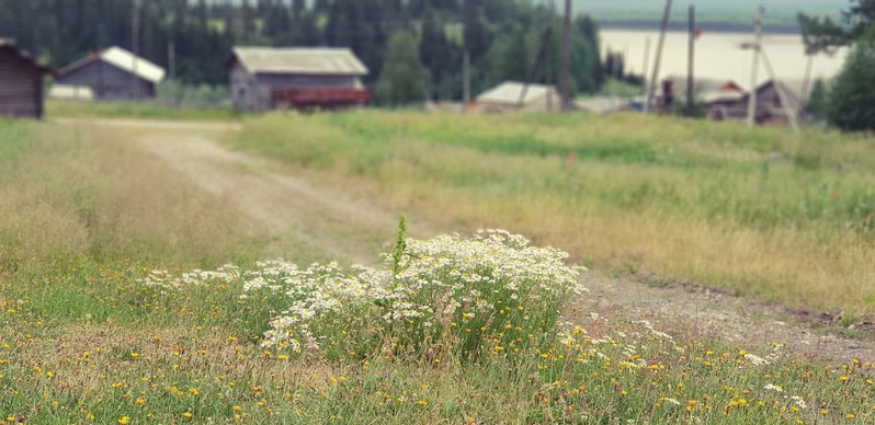 Фото сделанное пользователем Серёжа