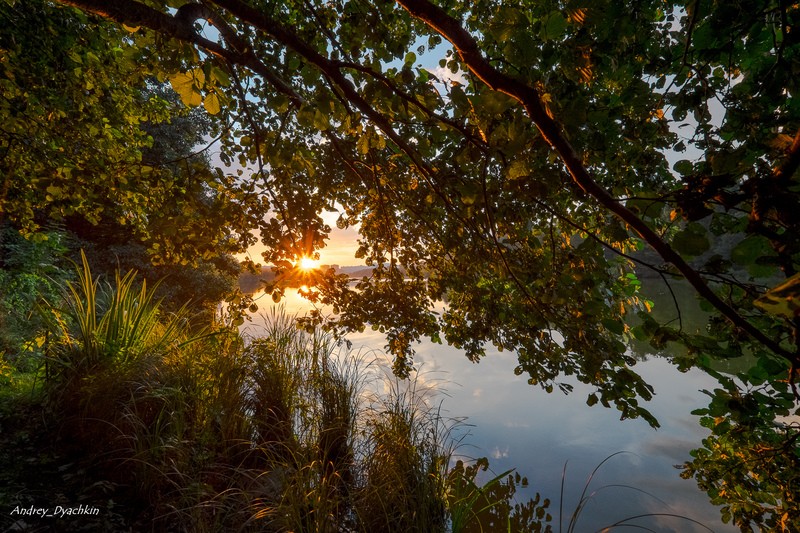 Фото сделанное пользователем AndreiD