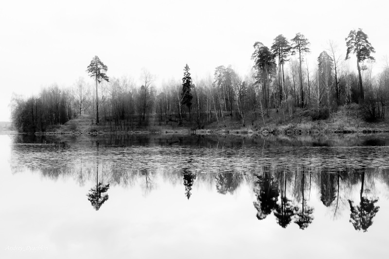 Фото сделанное пользователем AndreiD