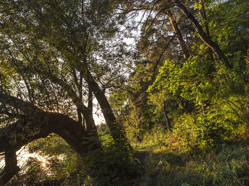 Фото сделанное пользователем Olcher