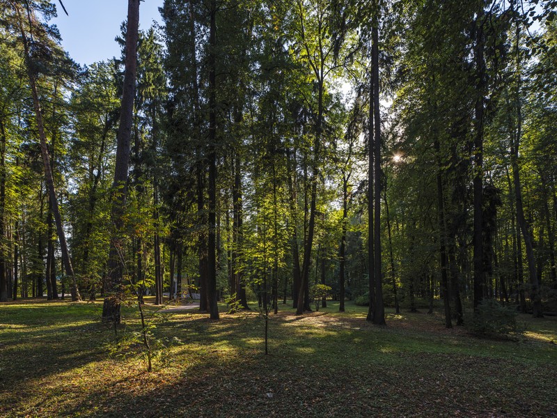 Фото сделанное пользователем Olcher