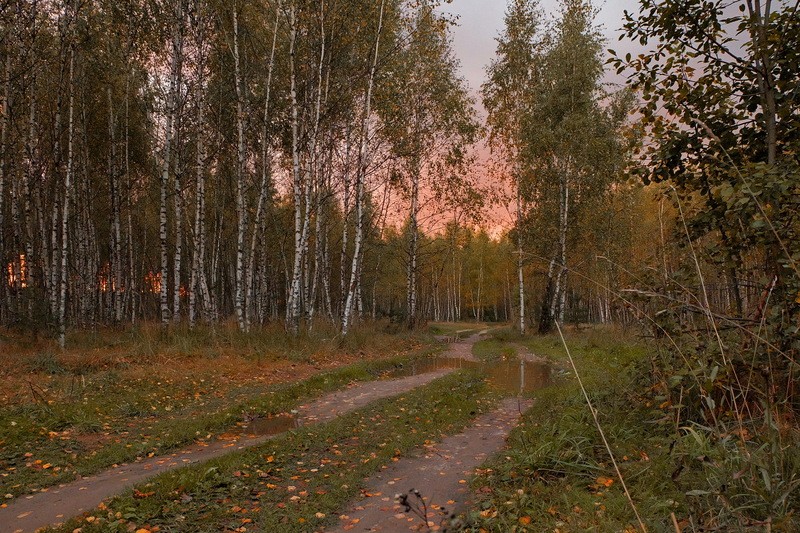 Фото сделанное пользователем minog