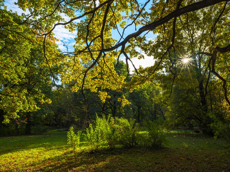 Фото сделанное пользователем Olcher