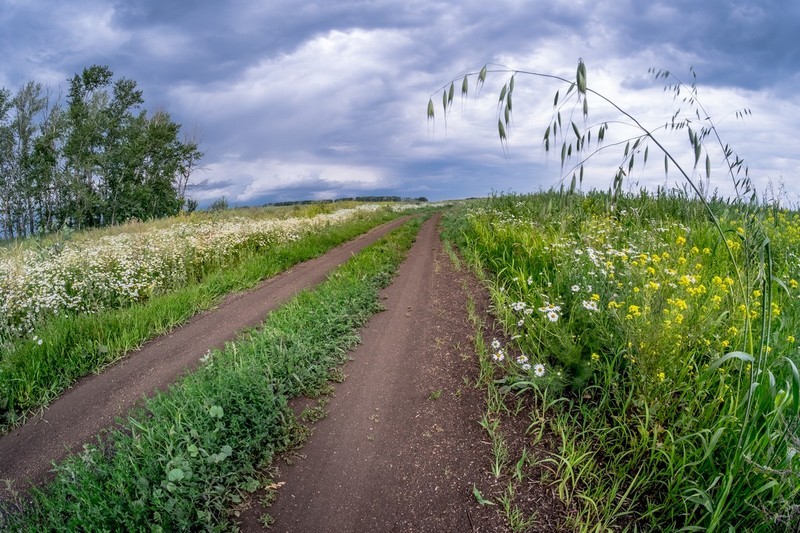 Фото сделанное пользователем Ёхансон