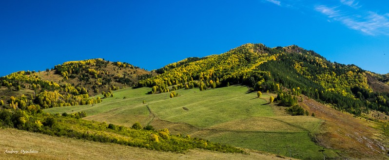 Фото сделанное пользователем AndreiD