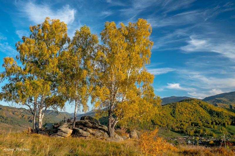 Фото сделанное пользователем AndreiD