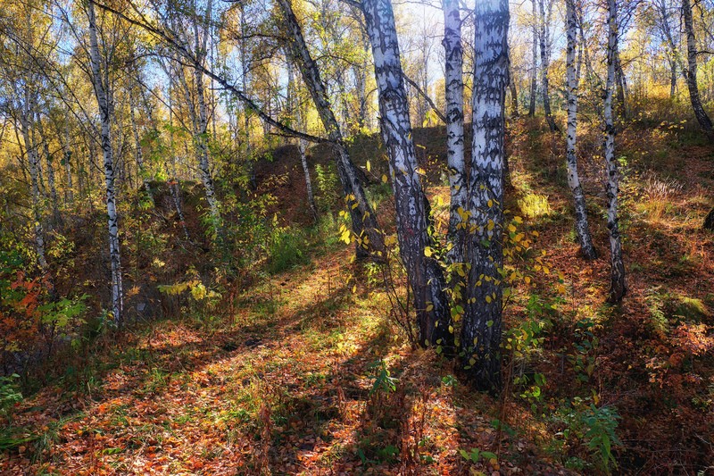 Фото сделанное пользователем od99