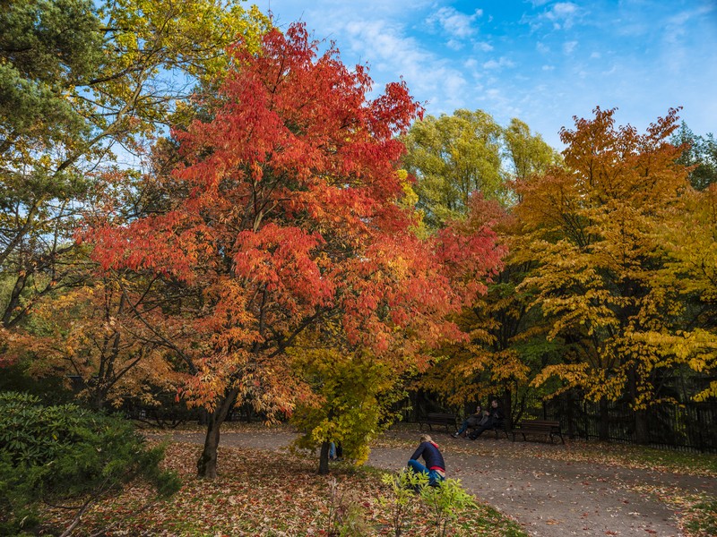 Фото сделанное пользователем Olcher