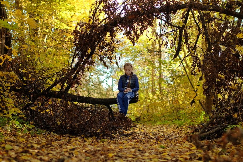 Фото сделанное пользователем minog