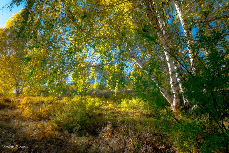 Фото сделанное пользователем AndreiD