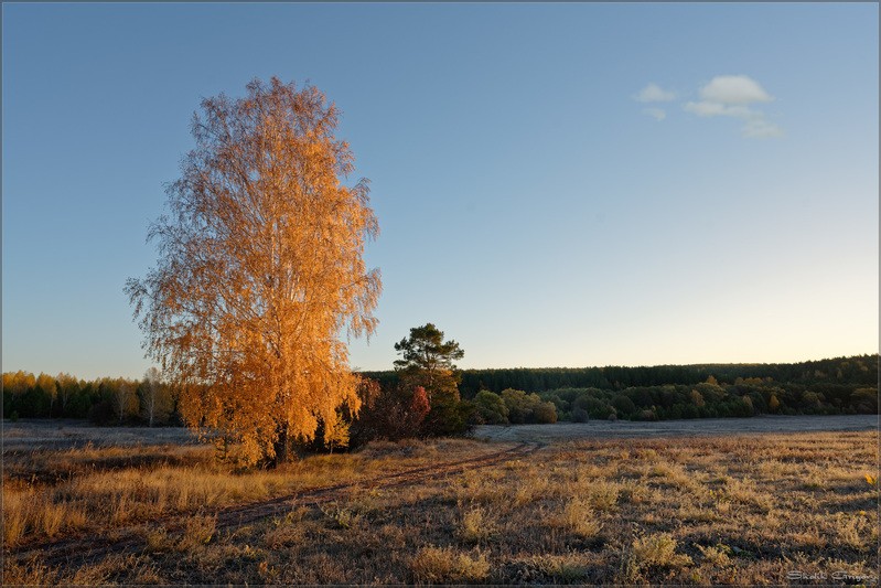 Фото сделанное пользователем rus-lis