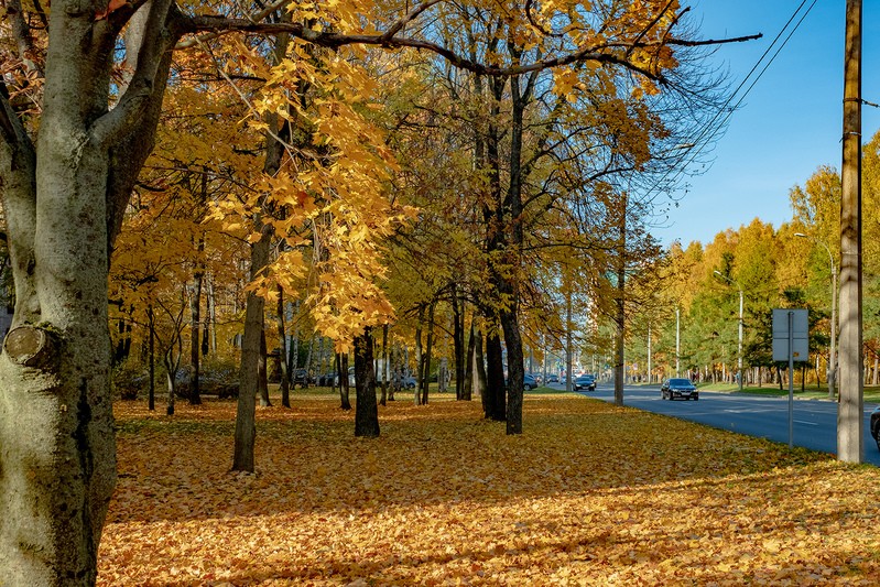 Фото сделанное пользователем Mikhail Sidorchev