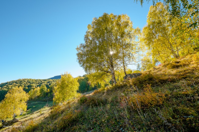 Фото сделанное пользователем AndreiD