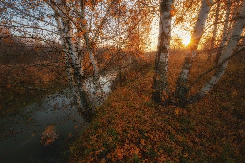 Фото сделанное пользователем Сергей(Bekr)