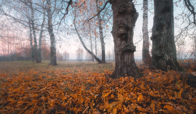 Фото сделанное пользователем Сергей(Bekr)