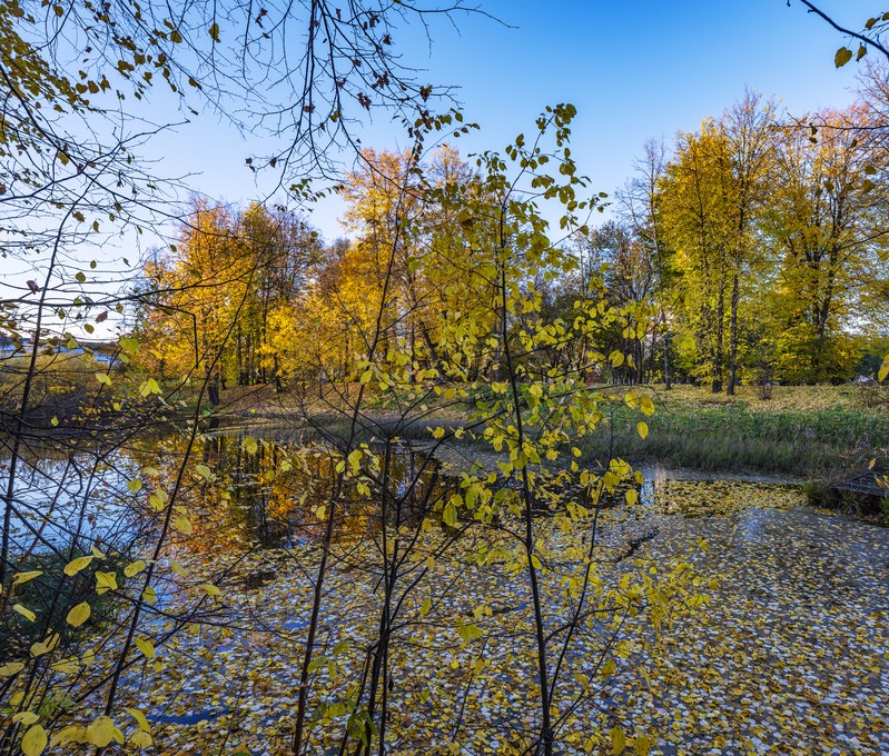 Фото сделанное пользователем Olcher