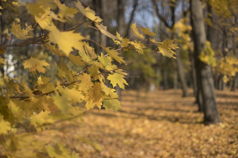 Фото сделанное пользователем chct07