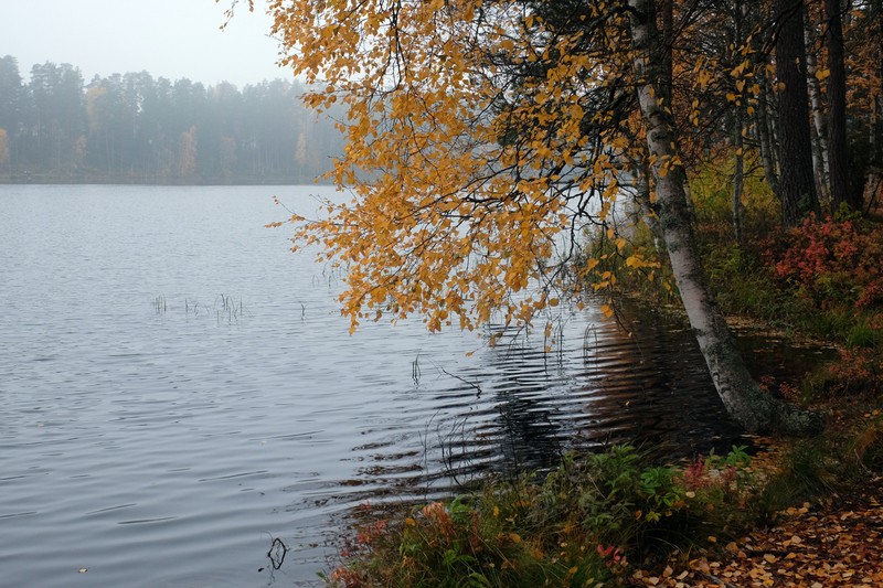 Фото сделанное пользователем Серёжа