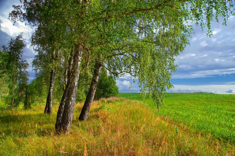 Фото сделанное пользователем Blitzphoto