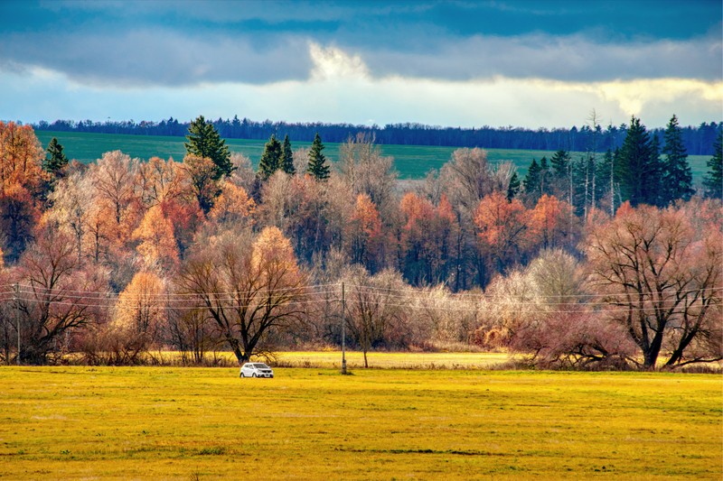 Фото сделанное пользователем Blitzphoto