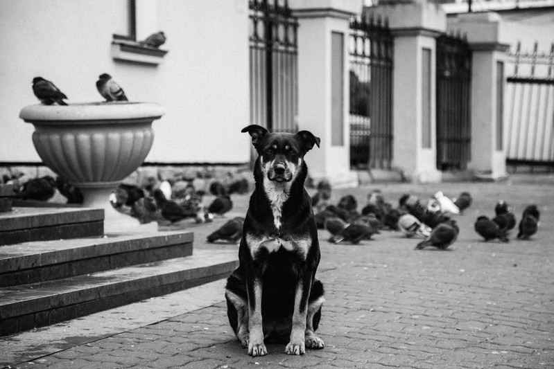 Фото сделанное пользователем Tyrist