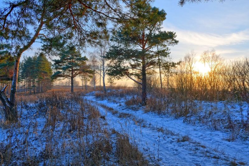 Фото сделанное пользователем GregB