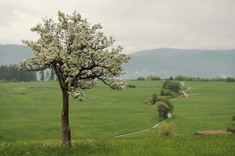 Фото сделанное пользователем IgLa