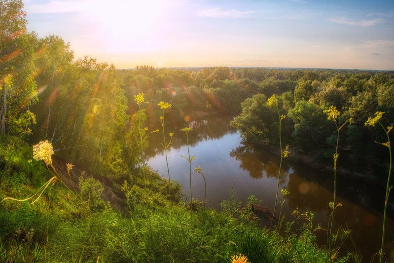 Фото сделанное пользователем Nikkc