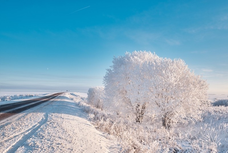 Фото сделанное пользователем GregB