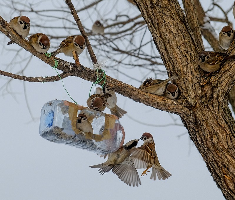 Фото сделанное пользователем Наталья