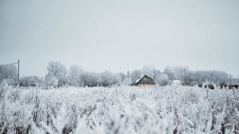 Фото сделанное пользователем P4eLKuN