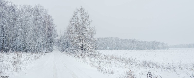 Фото сделанное пользователем Сергей Миронов