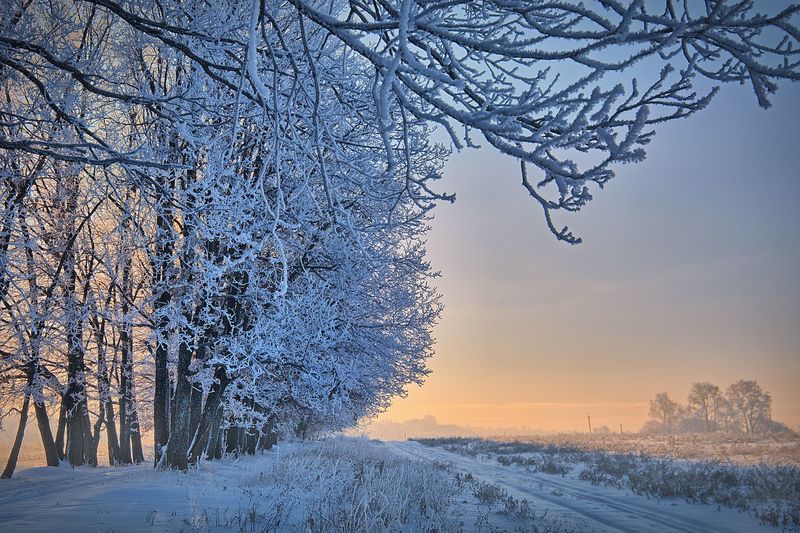 Фото сделанное пользователем GregB