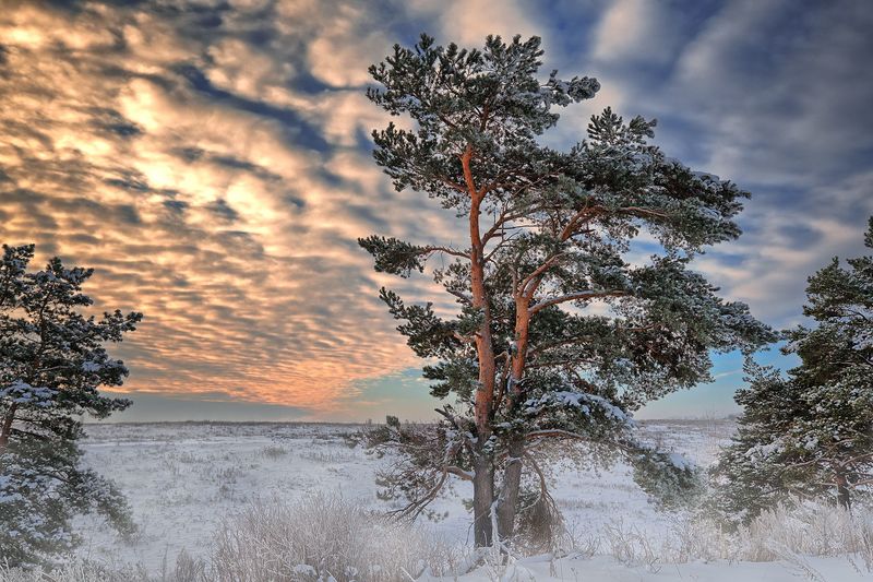 Фото сделанное пользователем GregB