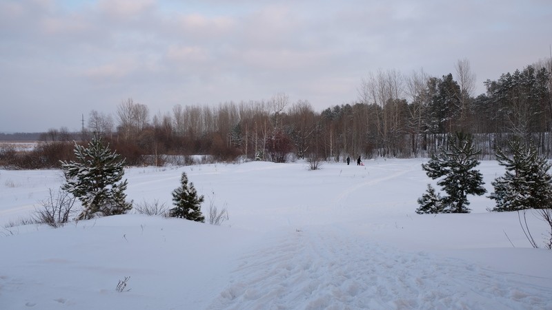 Фото сделанное пользователем delM