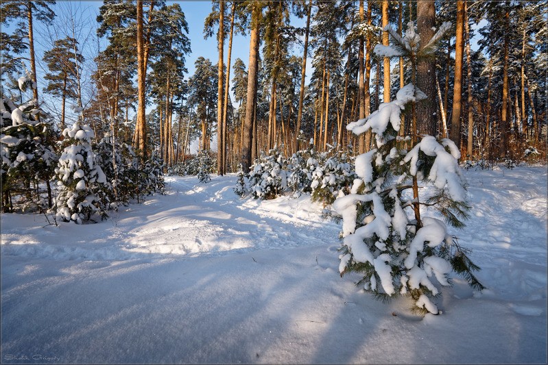 Фото сделанное пользователем rus-lis