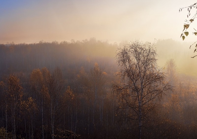 Фото сделанное пользователем iluasoft