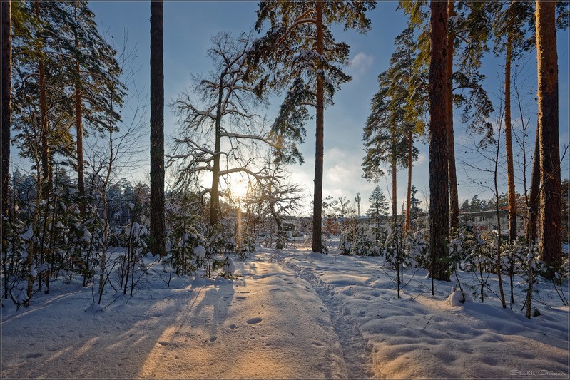 Фото сделанное пользователем rus-lis