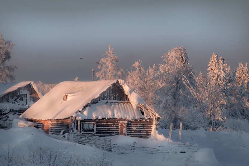 Фото сделанное пользователем Fuseboy