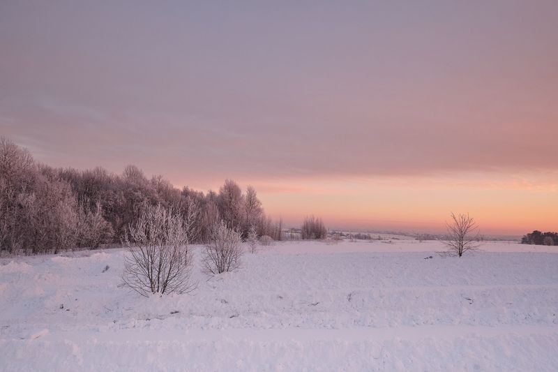 Фото сделанное пользователем GregB