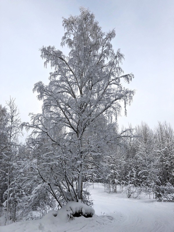 Фото сделанное пользователем Igor67