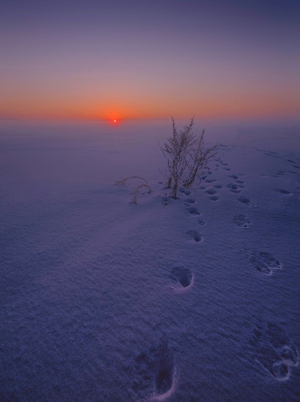 Фото сделанное пользователем Сергей(Bekr)