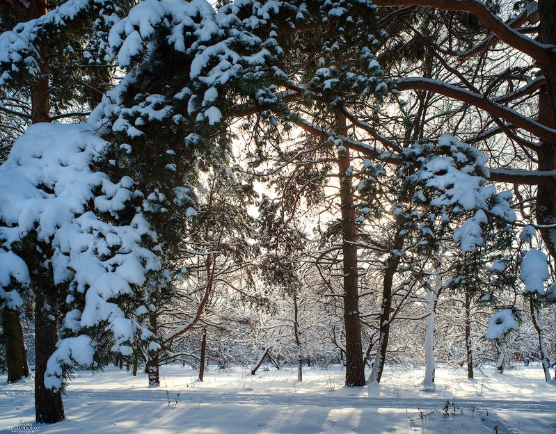 Фото сделанное пользователем Сергей Миронов