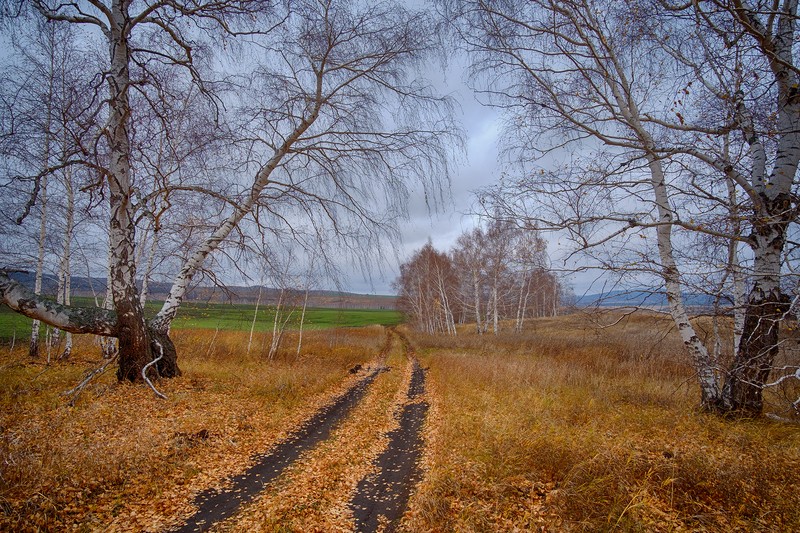 Фото сделанное пользователем Дмитрий74