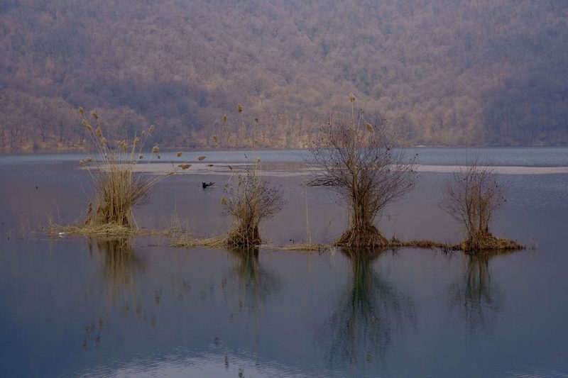 Фото сделанное пользователем alex_fuji_