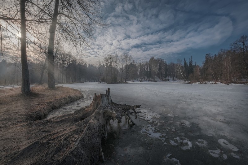 Фото сделанное пользователем Fuseboy