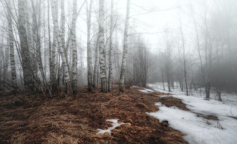 Фото сделанное пользователем Сергей(Bekr)