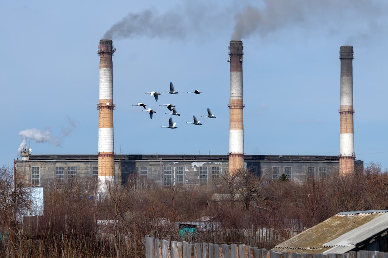 Фото сделанное пользователем derder