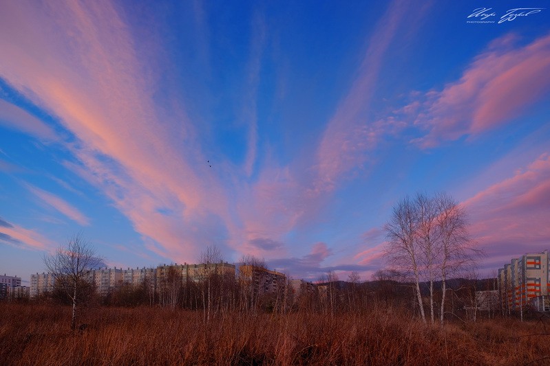 Фото сделанное пользователем zurbagan